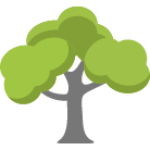 Saint Cloud Tree Trimming Service