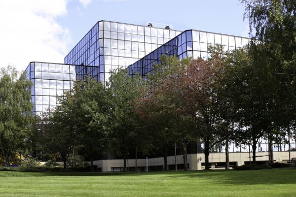 Commercial Tree Trimming in Saint Cloud