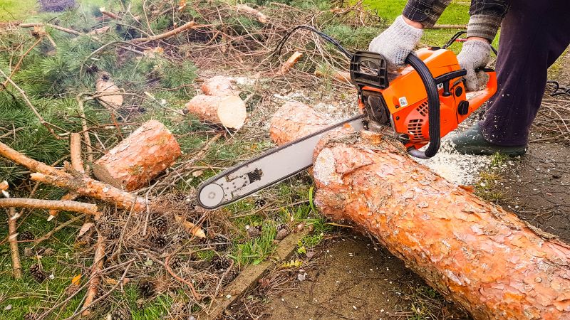 Tree Cutting Service