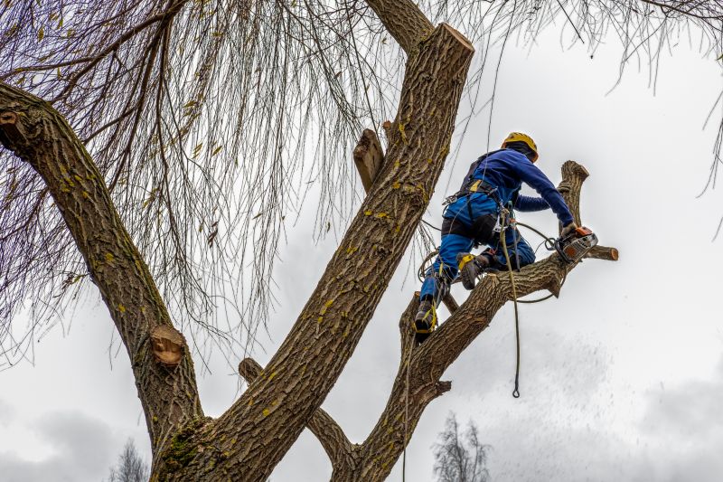 Trimming Equipment at Work