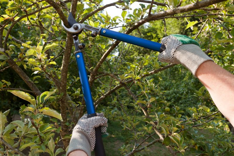 Pruning Tools and Techniques